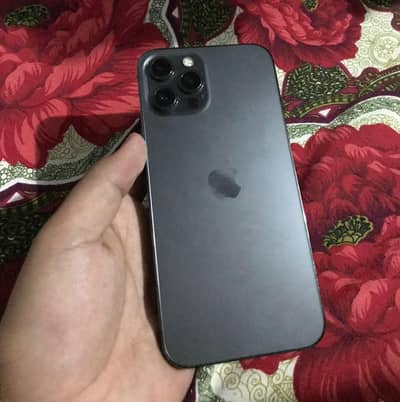 Apple iPhone 12 Pro Max