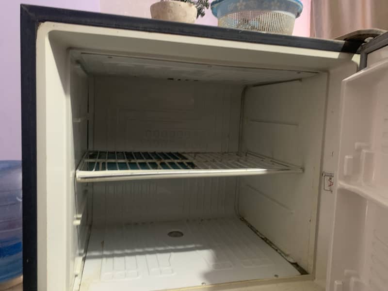 Freezer 4