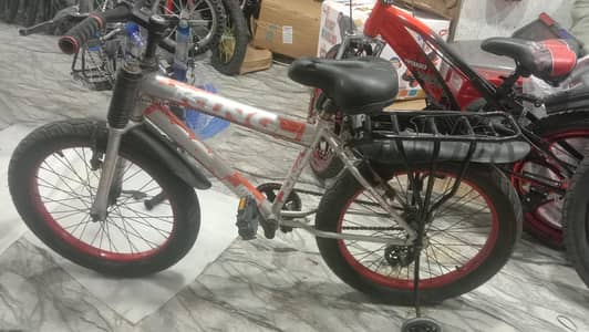 fad tair becycle 20 nich