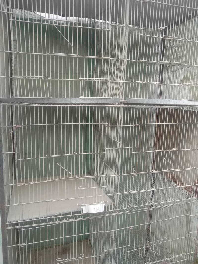 cages 1