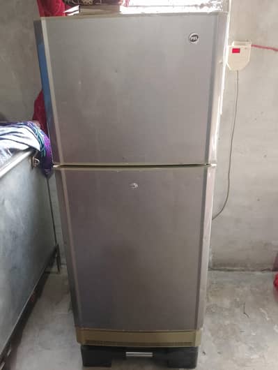 PEL Midiam Size fridge 10/8