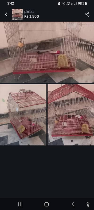 pi jara for sale