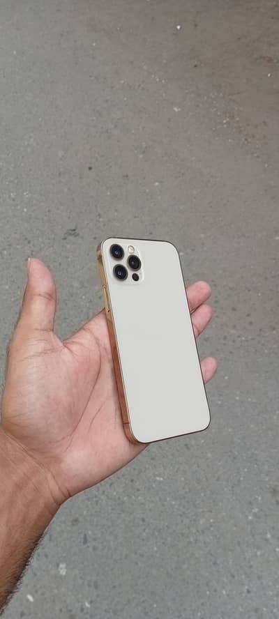Apple iPhone 12 Pro golden colour