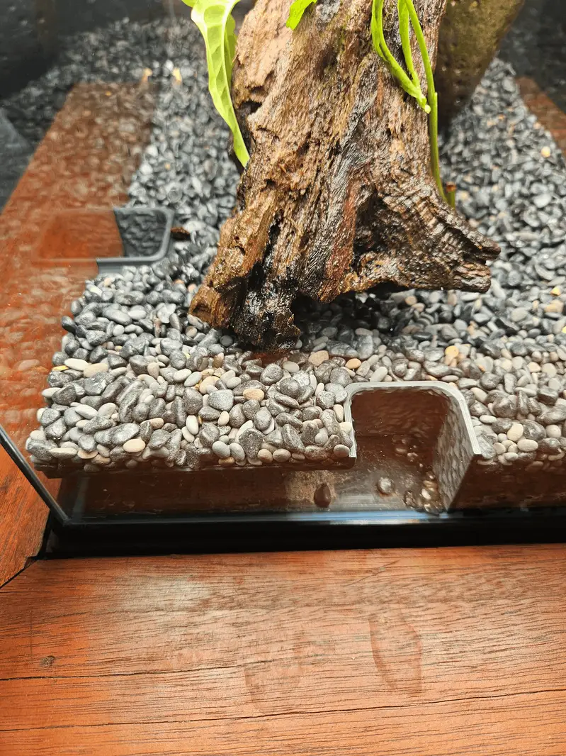 Aquarium Corner Cave — photo 2