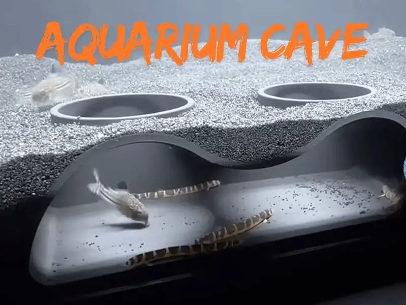 Aquarium Corner Cave — photo 5