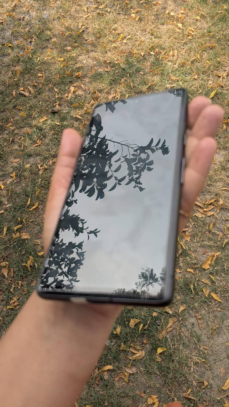 Google Pixel 7 6