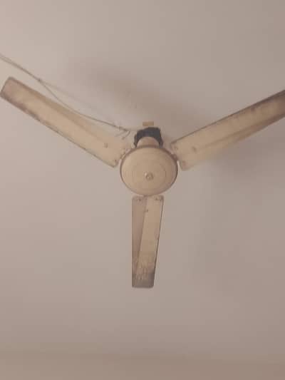 fan for sale all okay