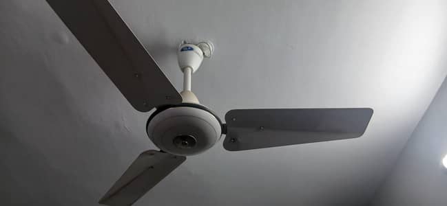 PAK  dulex Ceilling Fan