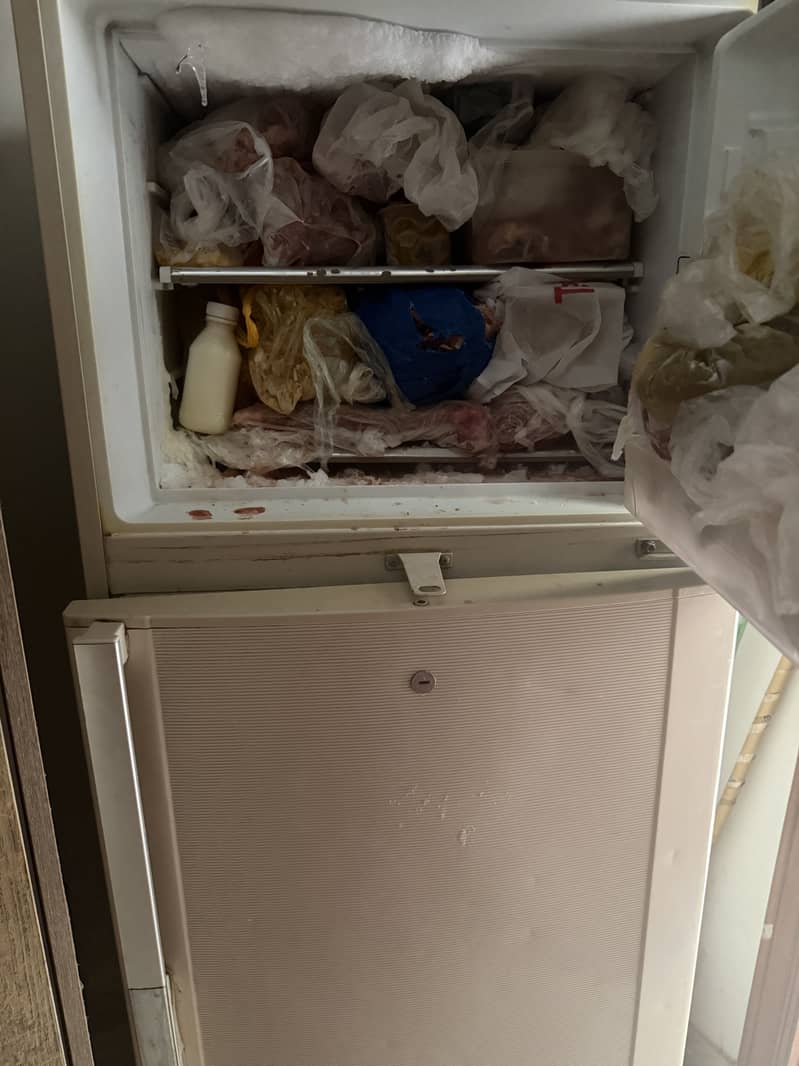 fridge 0