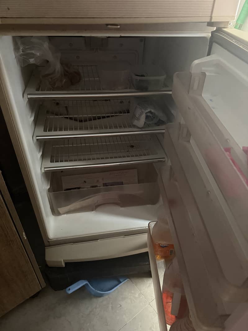 fridge 1