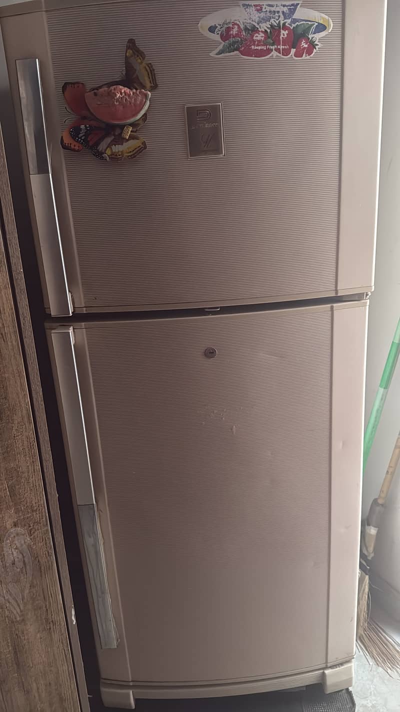 fridge 2