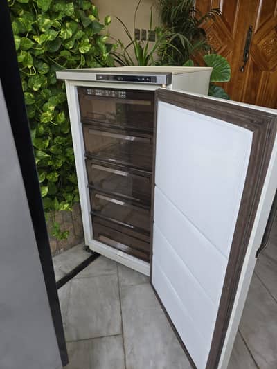 Imported Kenwood Front Load Freezer