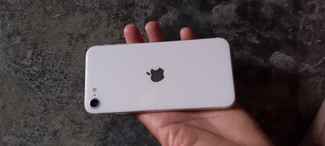 Apple iPhone SE2020 all okay hai