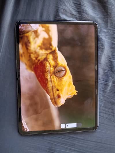 oppo pad 3 12+256