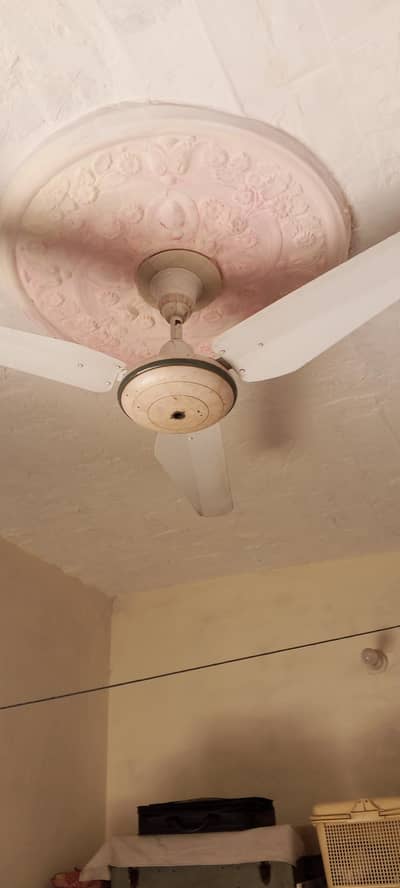 Ceiling Fan
