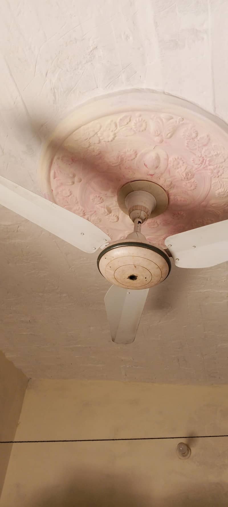 Ceiling Fan 3