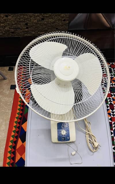 Wall pak fan