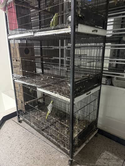 Parrots Cage for Sale