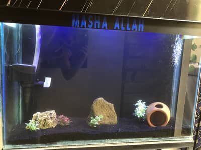 3 feet fish  aquarium > Read add