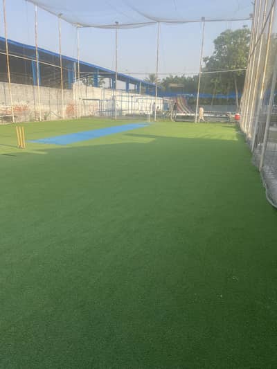 Cricket net indoor