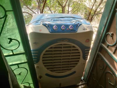 Orient big size Cooler for sale