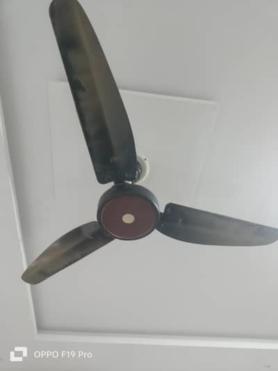Sufi pure Cooper Ceiling fan