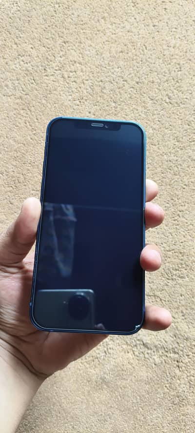 Apple iPhone 12