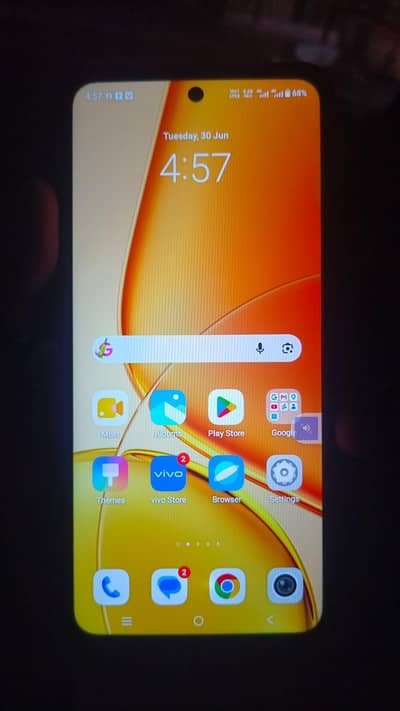 Vivo Y29