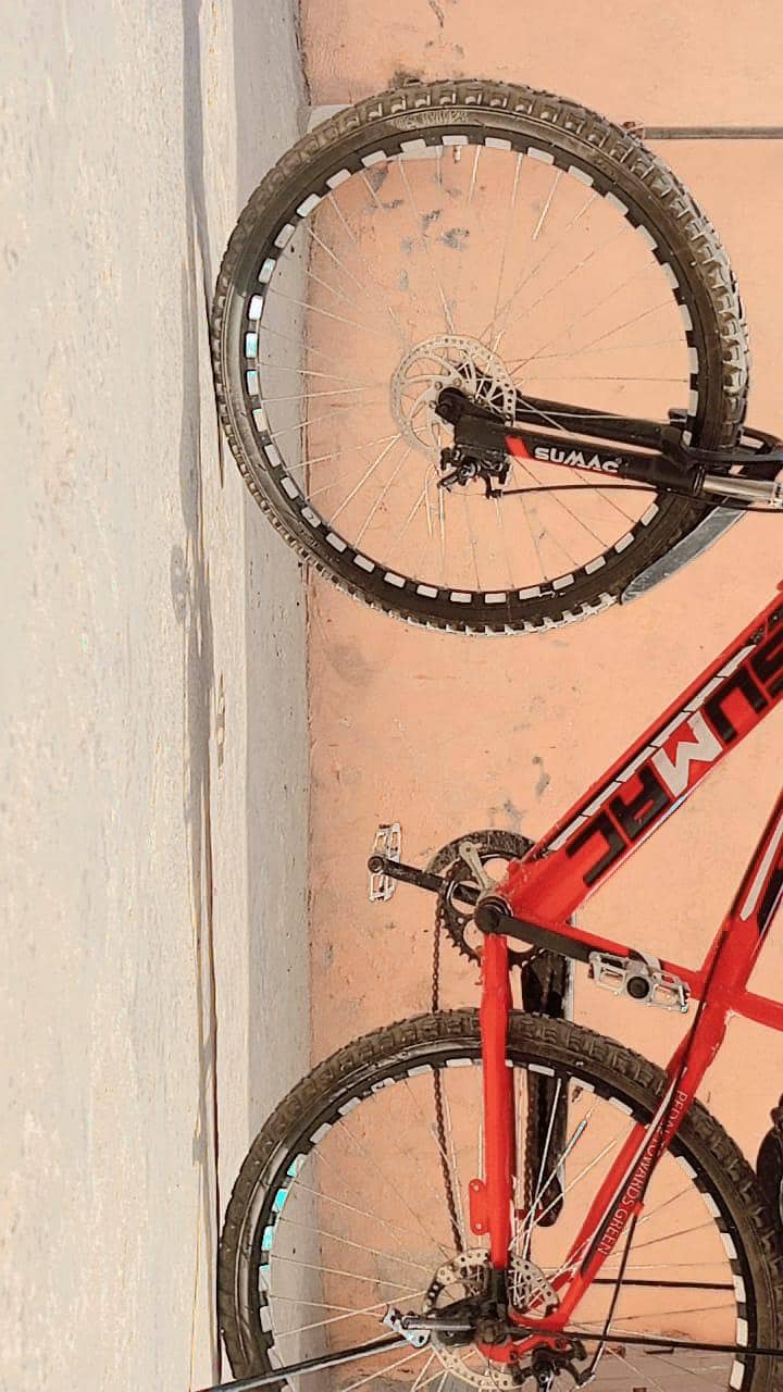Large size Bicycle 1