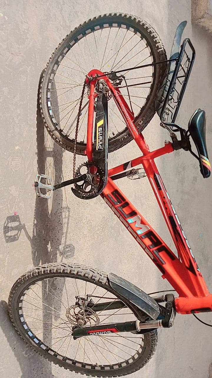 Large size Bicycle 2