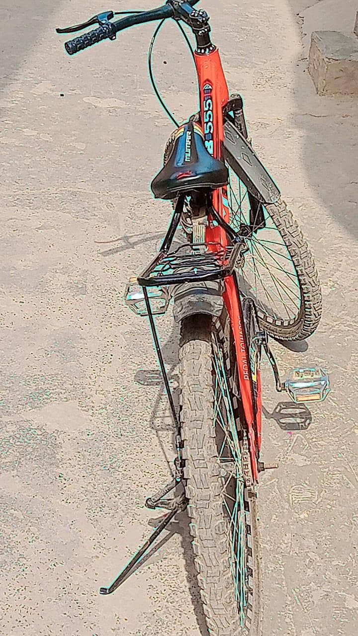 Large size Bicycle 3