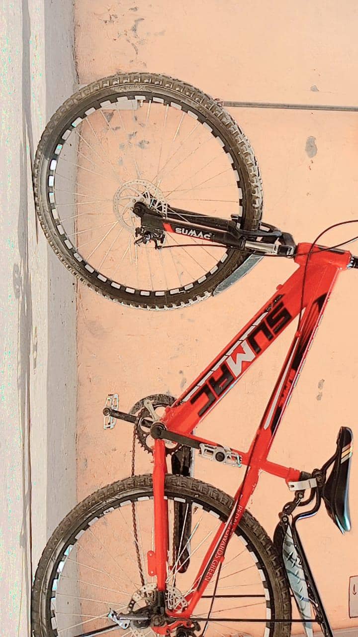 Large size Bicycle 4