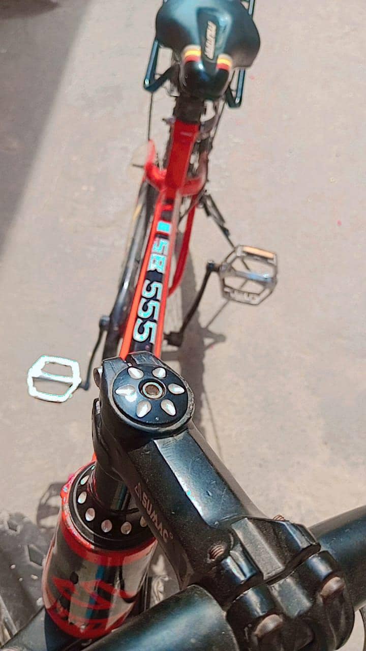 Large size Bicycle 5