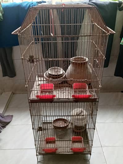 Double portion cage with food box and matki. 1 water feeder