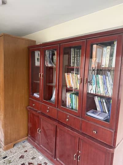 Beautiful Dark Wood Bookcase / Display Cabinet — Excellent Storage