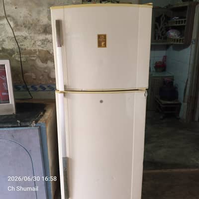 Dawlance Double Door Fridge – Cooling 100% Working – Good Condition