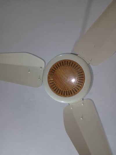 2 selling fan copper