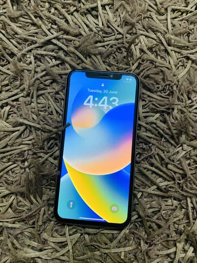 Apple iPhone X PTA Approved