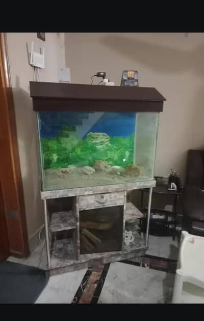 Aquarium tank for sale