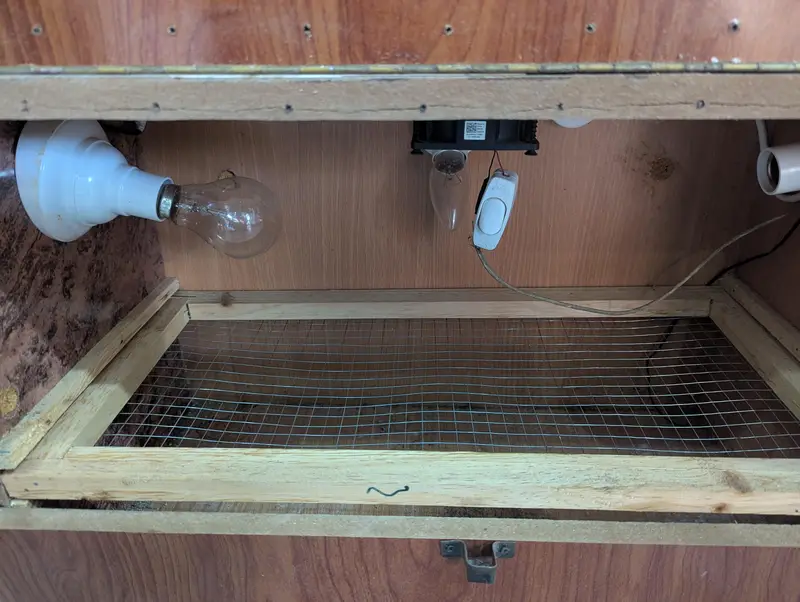 Incubator for sale — photo 2