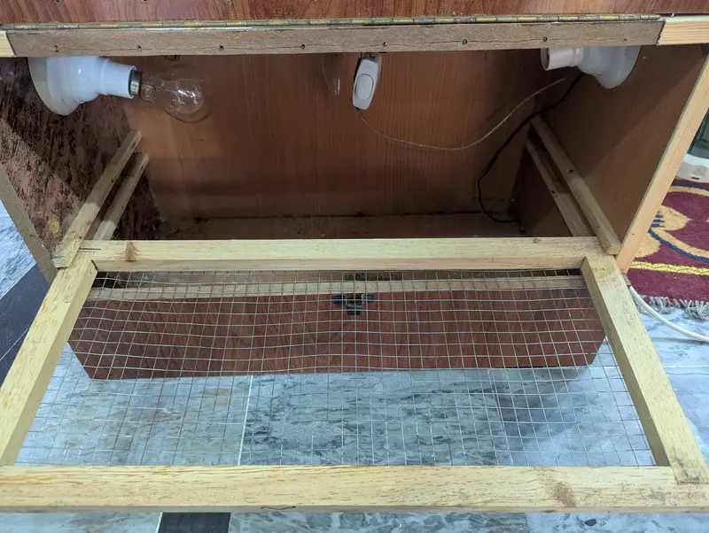 Incubator for sale — photo 3