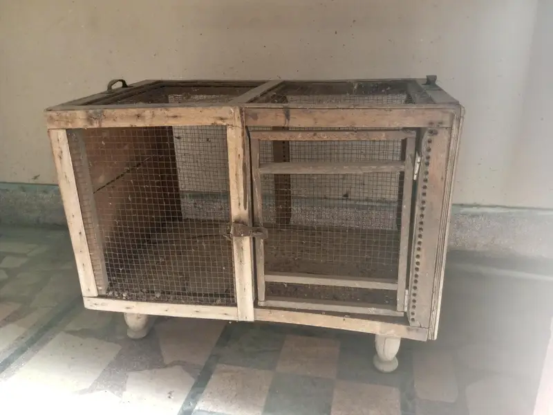 Wooden Cages — photo 4