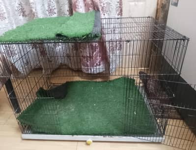 big cage for animals