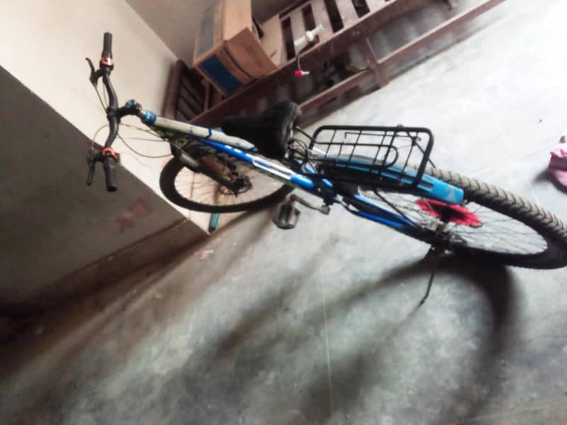 tango cycle 0