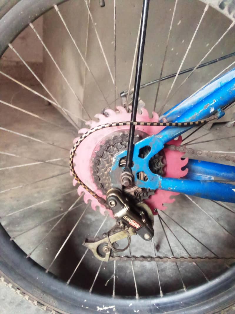 tango cycle 1