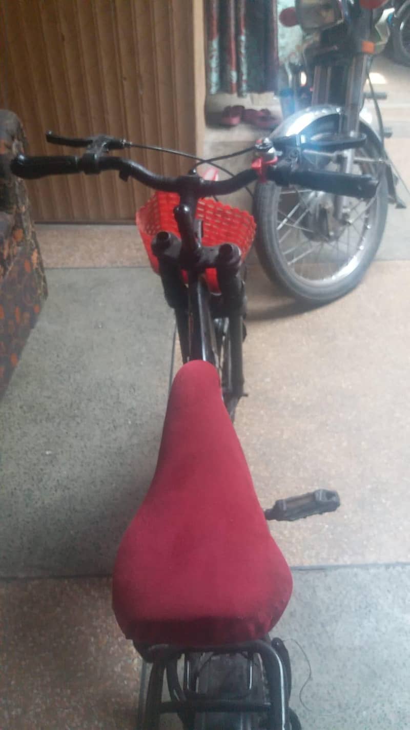 cycle 1