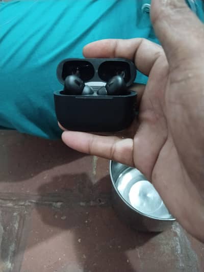 airbirde pro 2