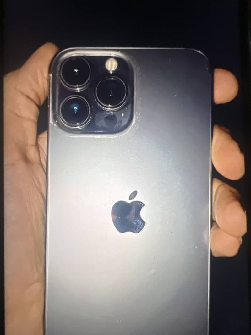 Apple iPhone 13 Pro Max 1