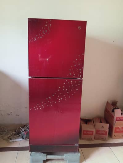Pel Glass door fridge