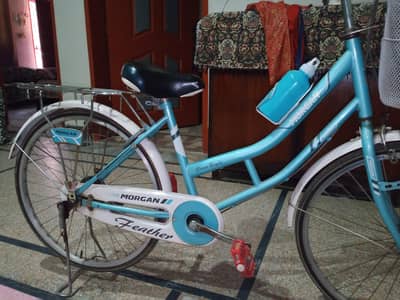 Morgan cycle